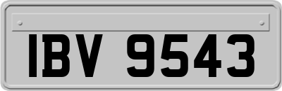 IBV9543