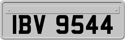 IBV9544