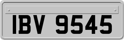 IBV9545