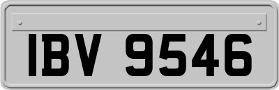 IBV9546
