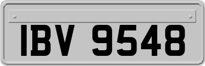 IBV9548