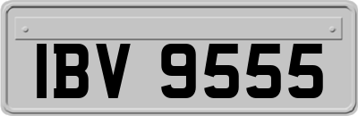 IBV9555