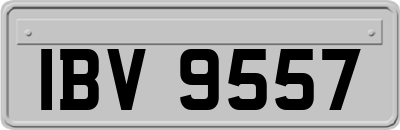 IBV9557