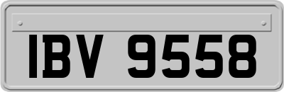 IBV9558