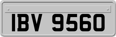 IBV9560