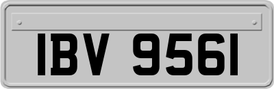 IBV9561