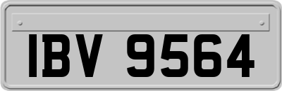 IBV9564