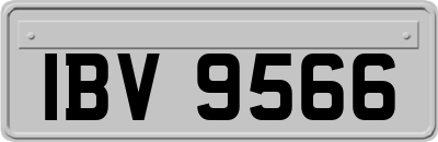 IBV9566