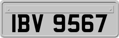 IBV9567