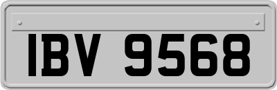 IBV9568