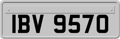 IBV9570
