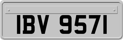 IBV9571