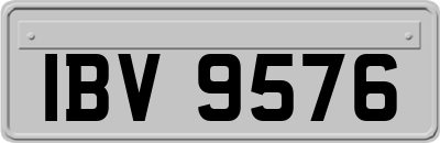IBV9576