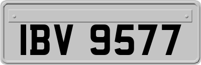 IBV9577