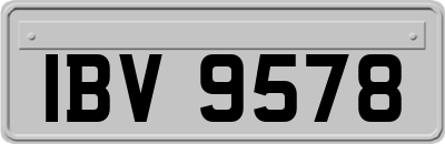 IBV9578
