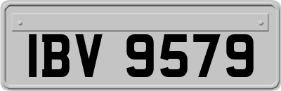 IBV9579