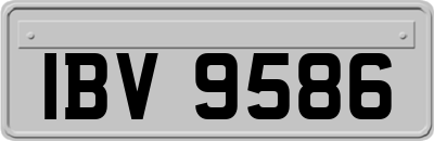 IBV9586