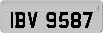 IBV9587