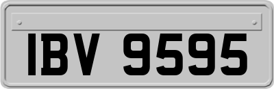 IBV9595