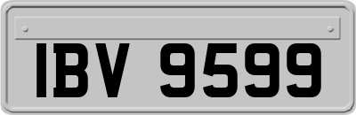 IBV9599