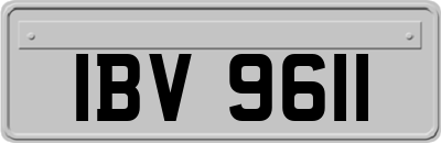 IBV9611