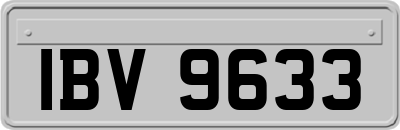 IBV9633