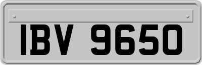 IBV9650