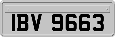 IBV9663