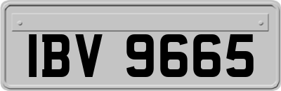 IBV9665