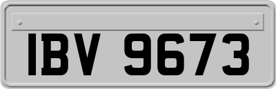 IBV9673