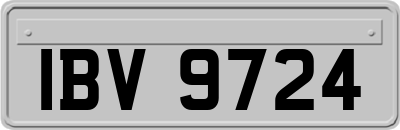 IBV9724