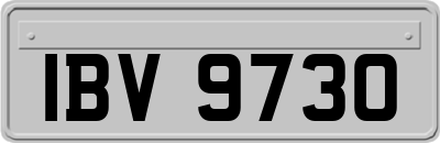 IBV9730