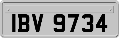 IBV9734