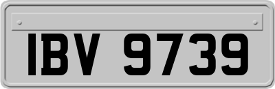 IBV9739