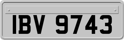 IBV9743