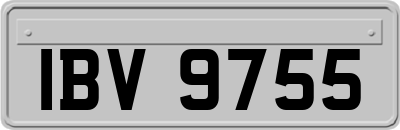 IBV9755