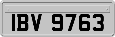 IBV9763