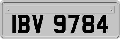 IBV9784