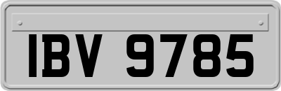 IBV9785
