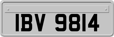 IBV9814