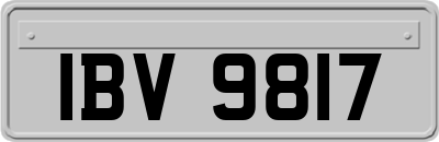 IBV9817