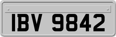 IBV9842