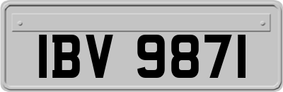 IBV9871