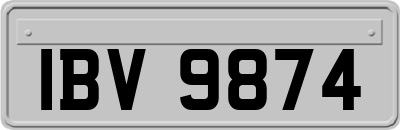 IBV9874