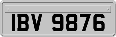 IBV9876
