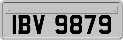 IBV9879
