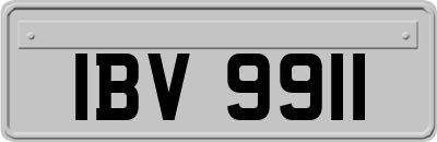IBV9911