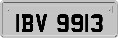 IBV9913