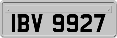 IBV9927