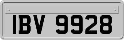 IBV9928